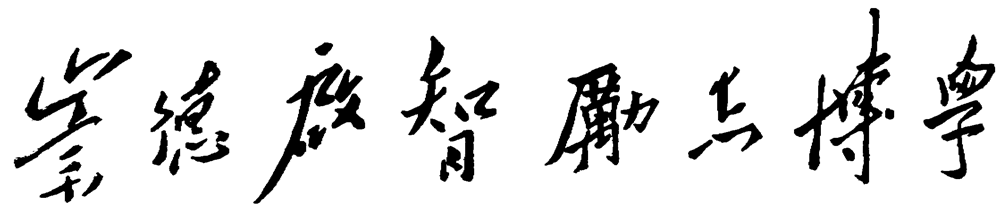 亚洲码欧美码一区二区三区