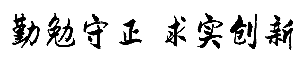 亚洲码欧美码一区二区三区